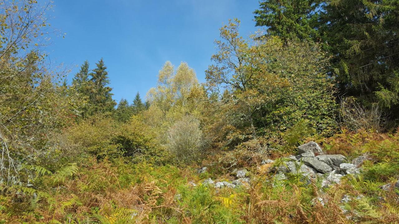 Hébergement de vacances De 25 Chemin Du Grand Pacher Le Bourg De 63120 Sauviat