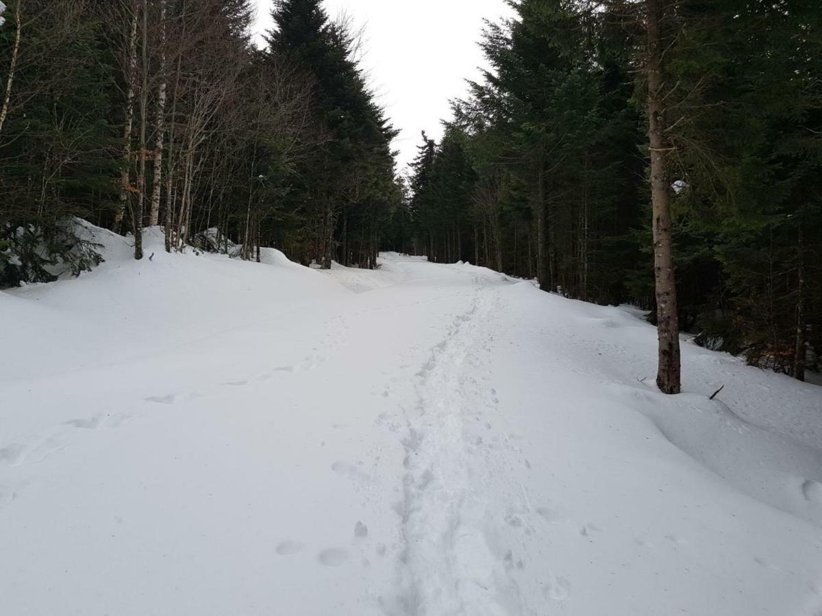 De 25 Chemin Du Grand Pacher Le Bourg De 63120 Сasa de vacaciones *