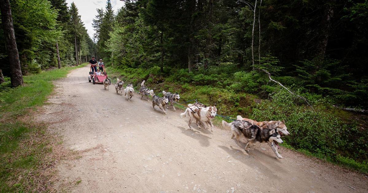 De 25 Chemin Du Grand Pacher Le Bourg De 63120 Hébergement de vacances *